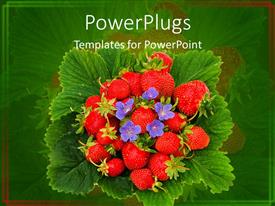 powerpoint template: digital representation of strawberry creating powerpoint template: digital representation of strawberry creating, Presentation templates